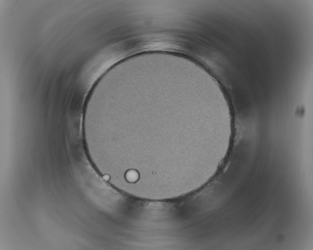 X0000112531322200909141237