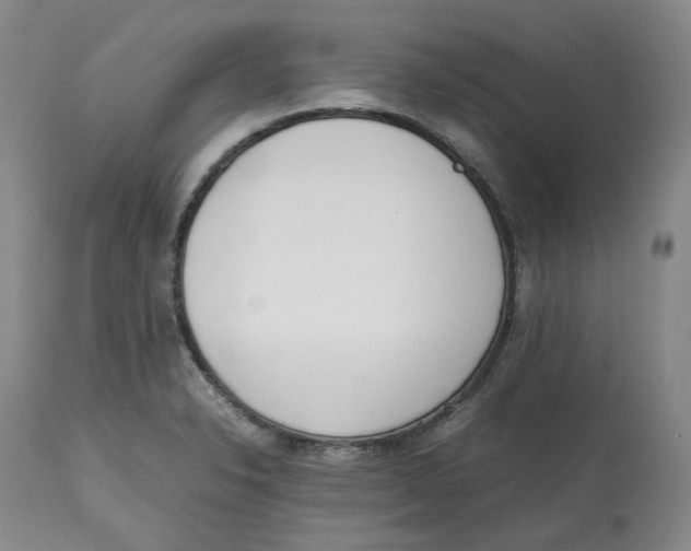 X0000112531326200909141237