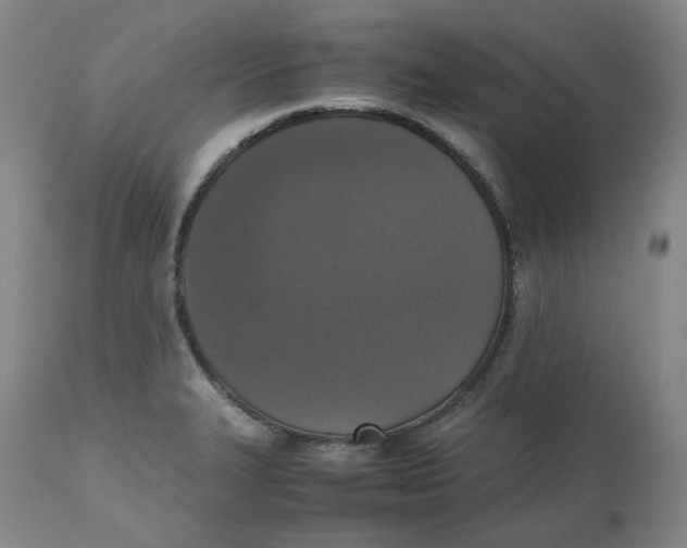 X0000112531327200909141237