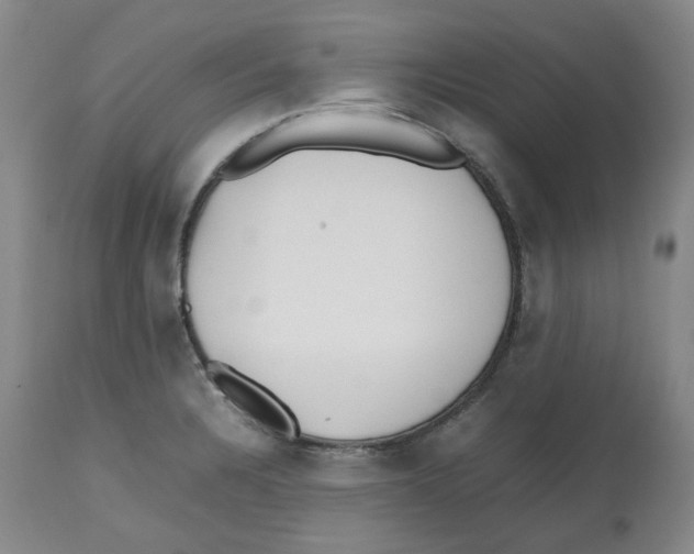 X0000112531328200909141237