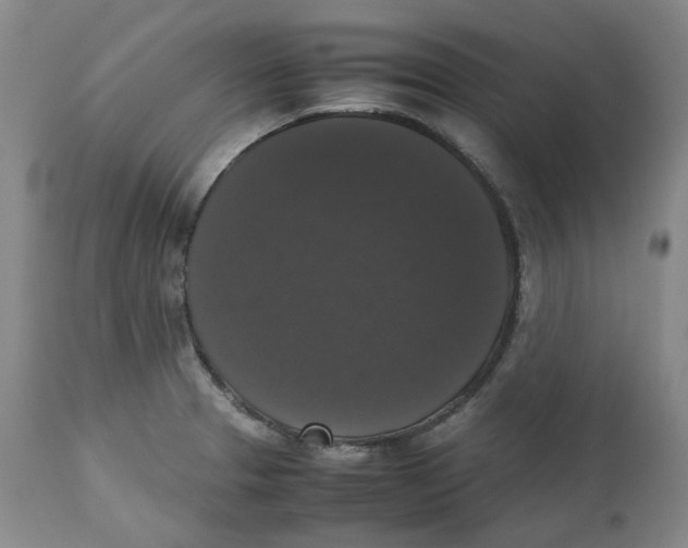 X0000112531329200909141237