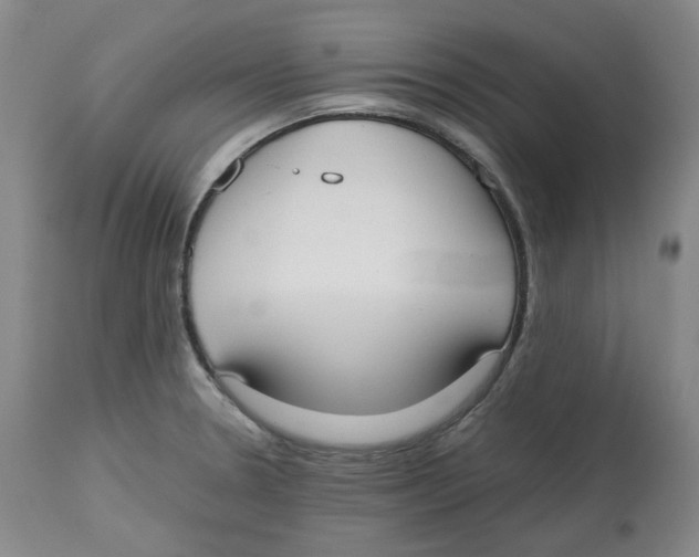 X0000112531330200909141237