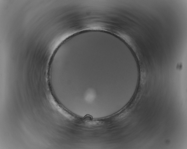 X0000112531331200909141237