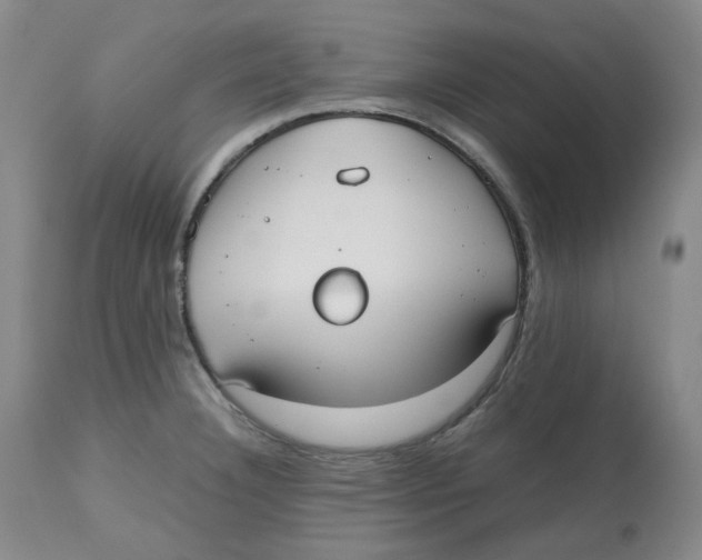 X0000112531332200909141238