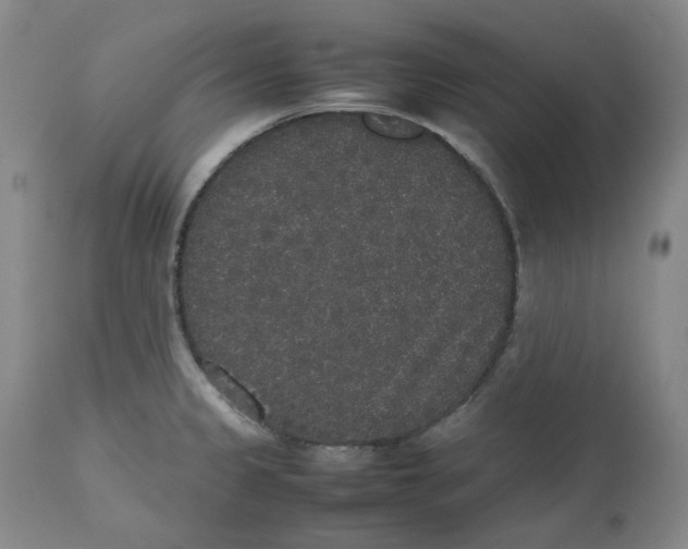 X0000112531333200909141238