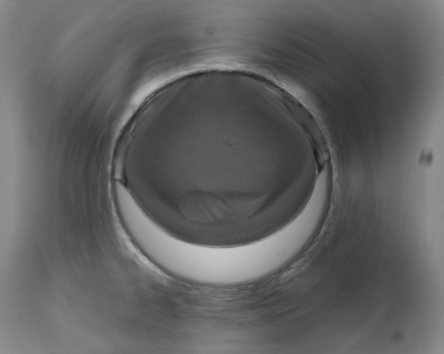 X0000112531334200909141238