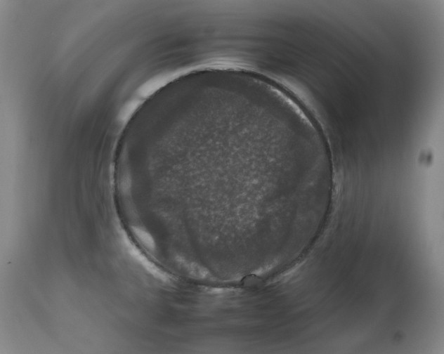 X0000112531335200909141238