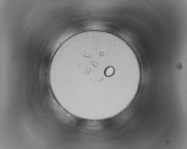 X0000112531338200909141238