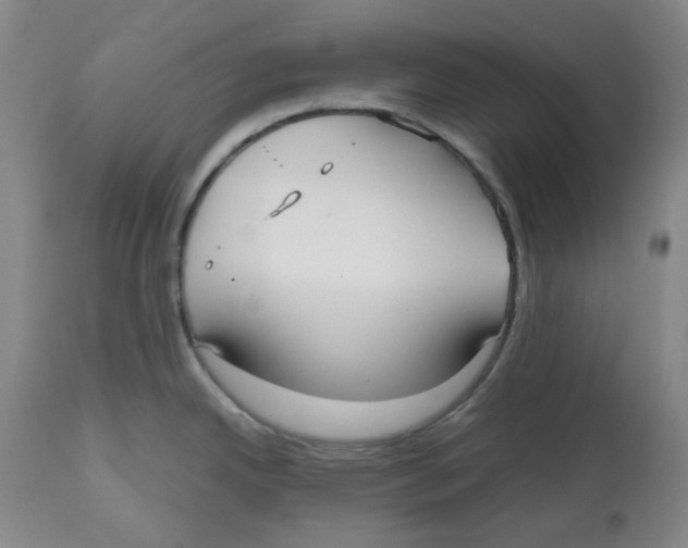 X0000112531342200909141238