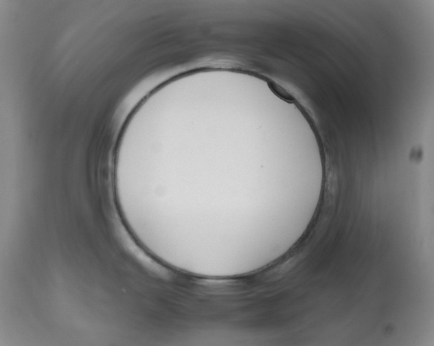 X0000112531343200909141238