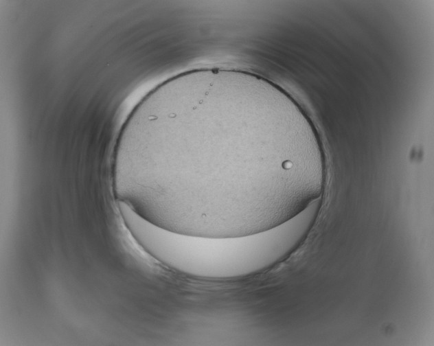 X0000112531344200909141238