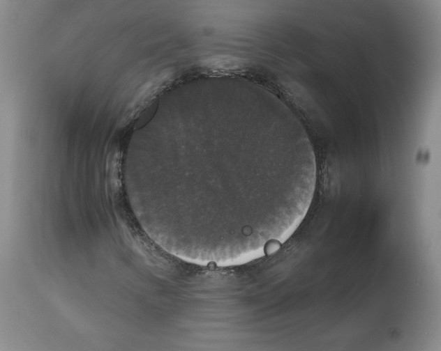 X0000112531346200909141237