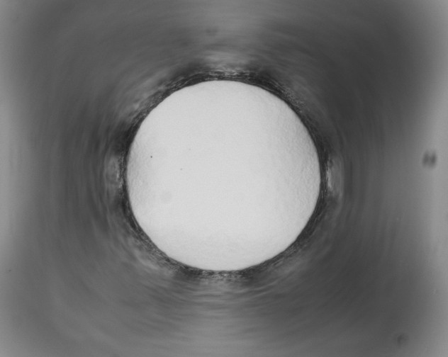 X0000112531347200909141237