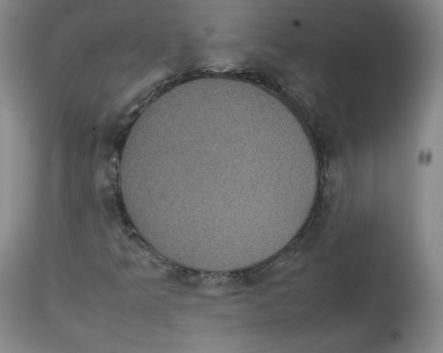 X0000112531349200909141237