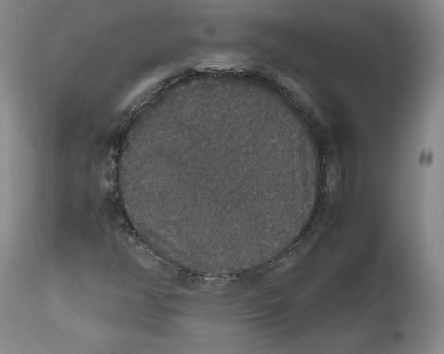 X0000112531350200909141237