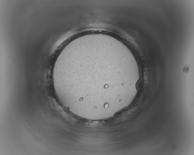 X0000112531352200909141237