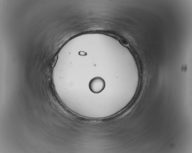 X0000112531353200909141237