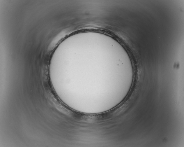 X0000112531355200909141237