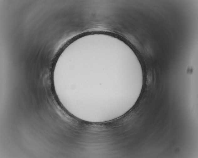 X0000112531356200909141237