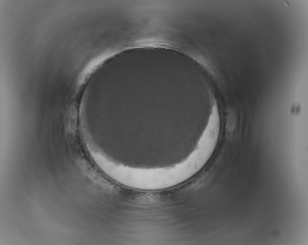 X0000112531358200909141237