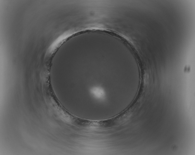 X0000112531359200909141237