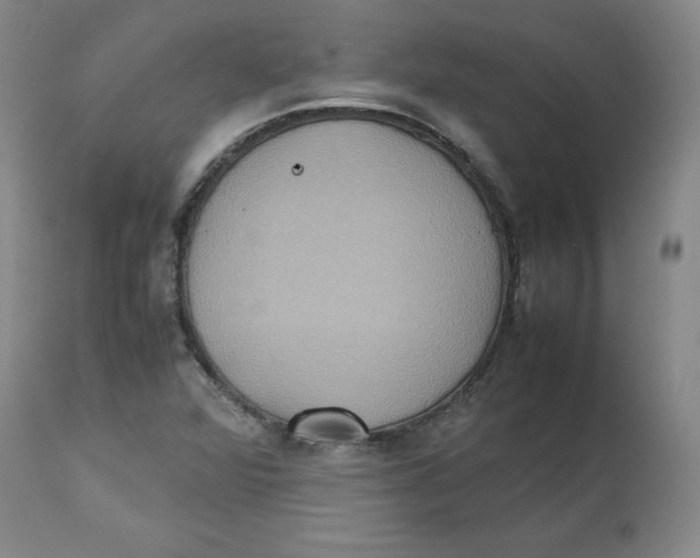 X0000112531360200909141237