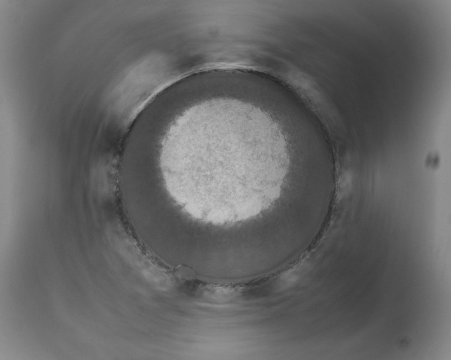 X0000112531361200909141237