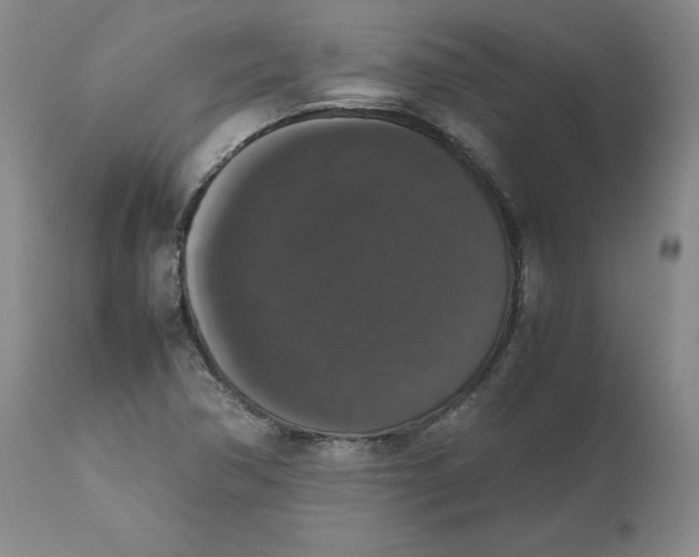 X0000112531362200909141237