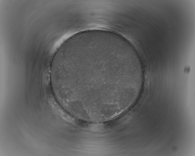 X0000112531363200909141237