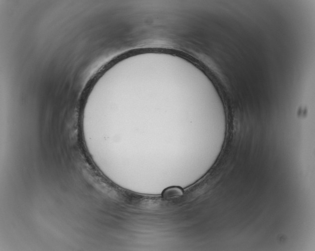 X0000112531364200909141237