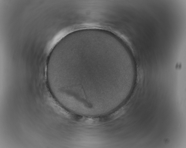 X0000112531365200909141237