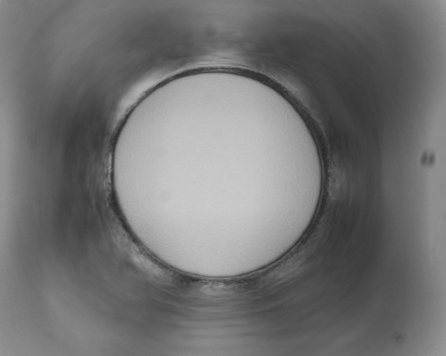 X0000112531366200909141237