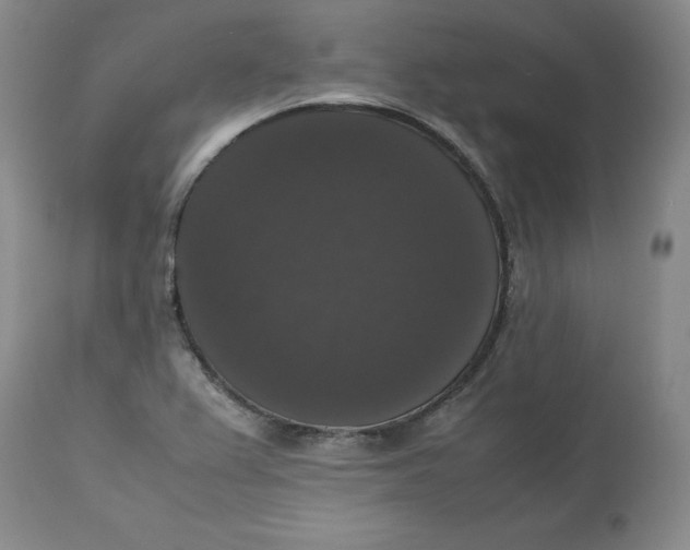 X0000112531367200909141237