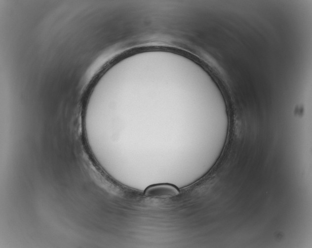 X0000112531368200909141237