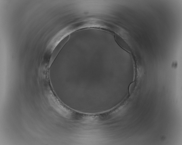 X0000112531369200909141237