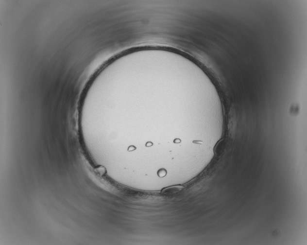 X0000112531372200909141236