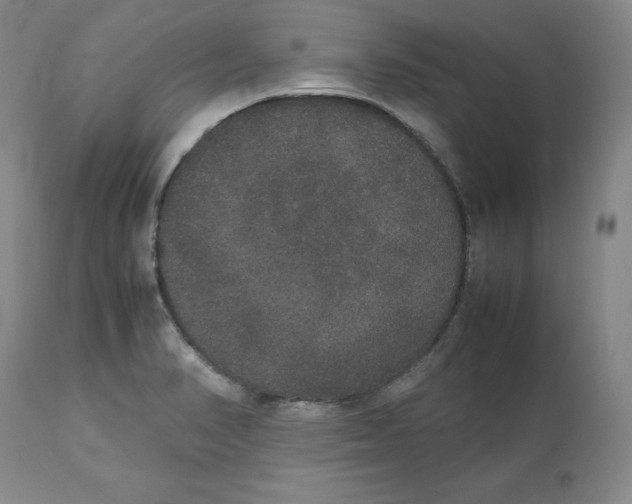 X0000112531374200909141236