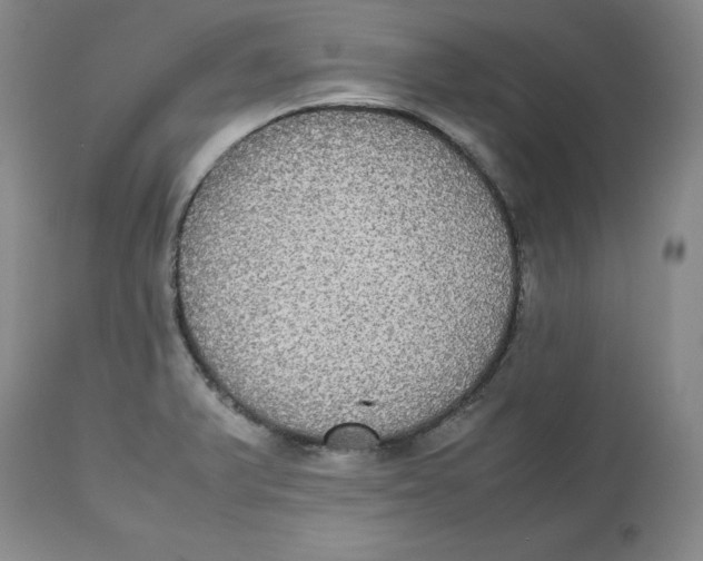 X0000112531375200909141236