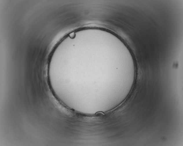 X0000112531376200909141236