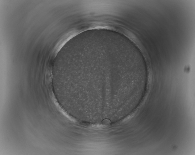 X0000112531377200909141236