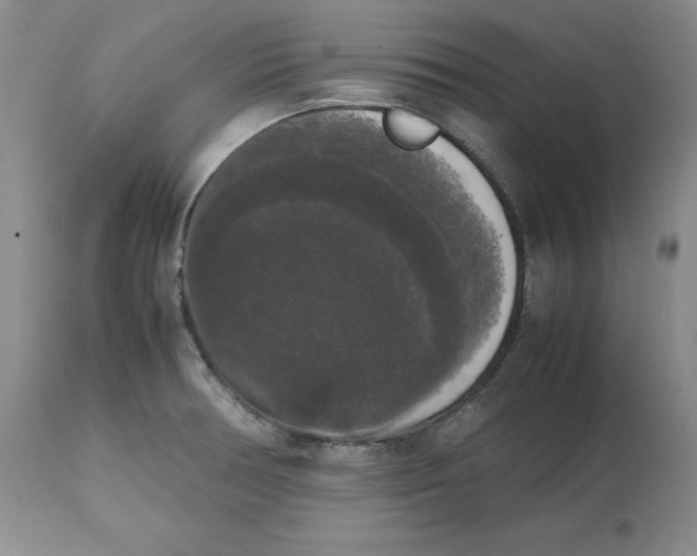 X0000112531378200909141236