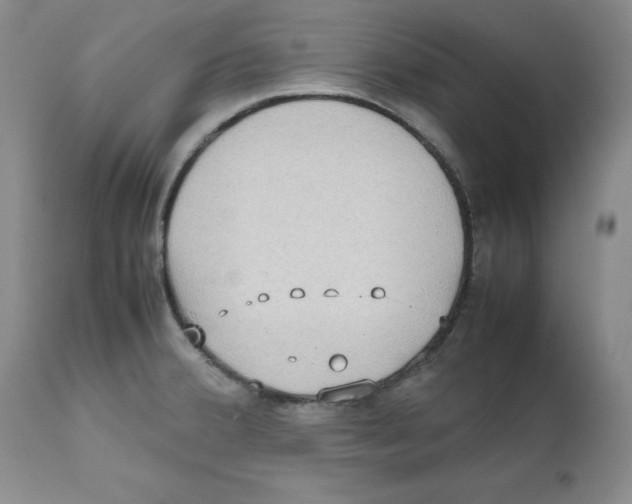 X0000112531380200909141236