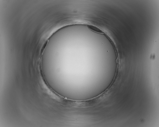 X0000112531381200909141236