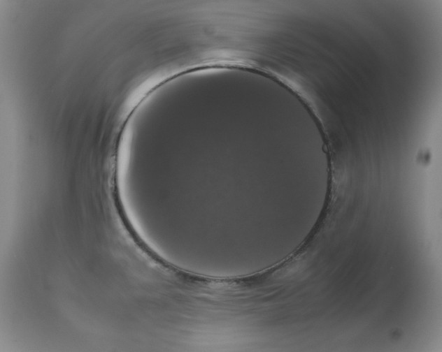 X0000112531383200909141236