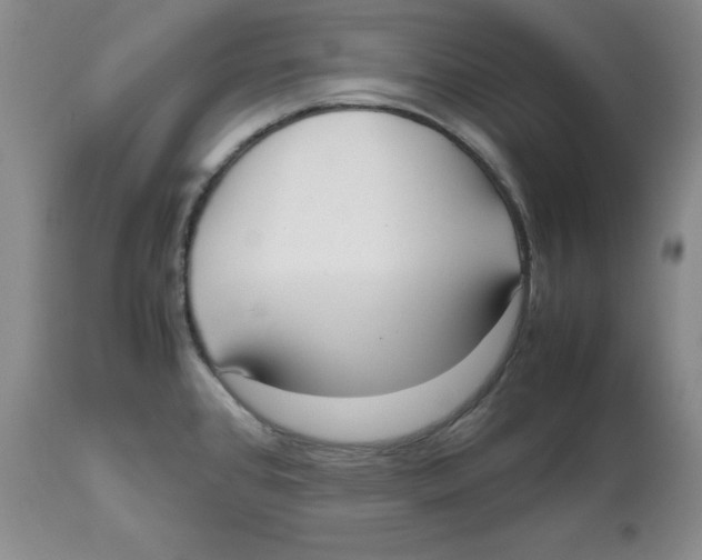 X0000112531384200909141236