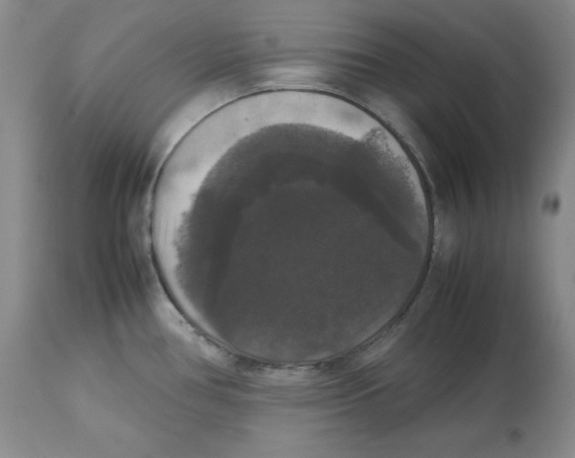 X0000112531386200909141236