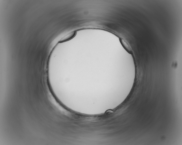 X0000112531387200909141236