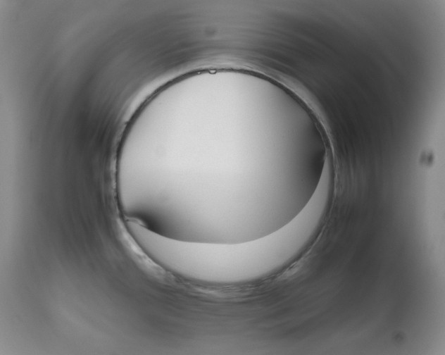 X0000112531388200909141236