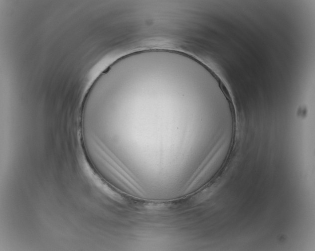 X0000112531389200909141236