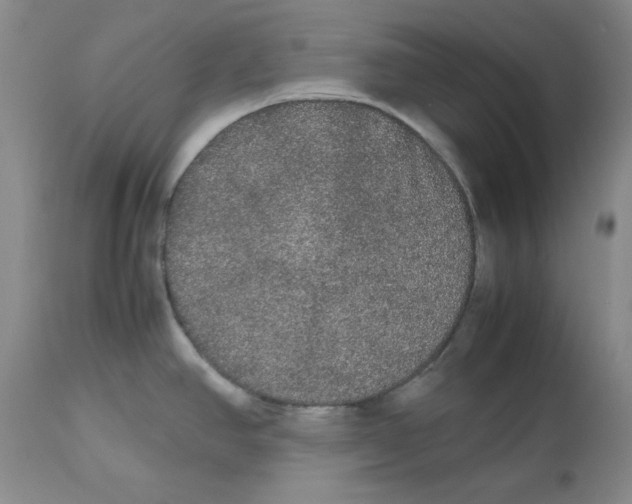 X0000112531390200909141236